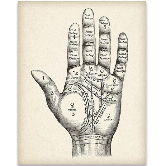 Hand analysis map for palmistry.