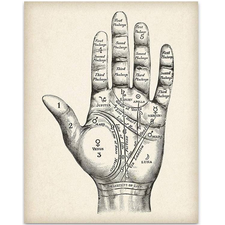 Hand analysis map for palmistry.
